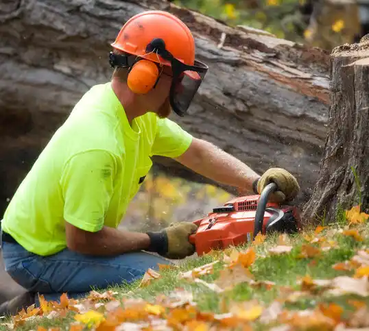 tree services Gautier